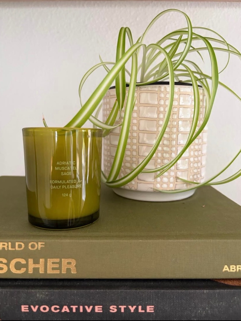 NWOT Flamingo Estate candle - Sage
